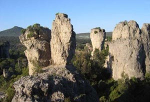 roche
